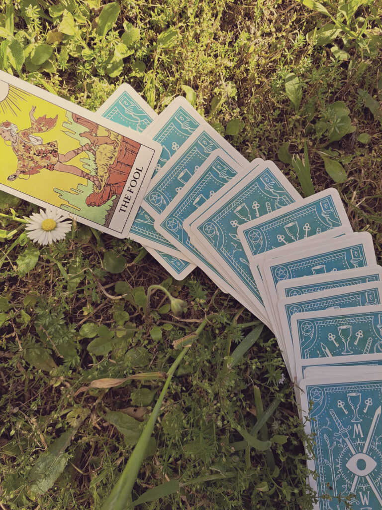 Une photographie d'un jeu de tarot étalé sur l'herbe, cartes faces cachée. La dernière cache en haut à gauche et retournée et révèle "The fool".