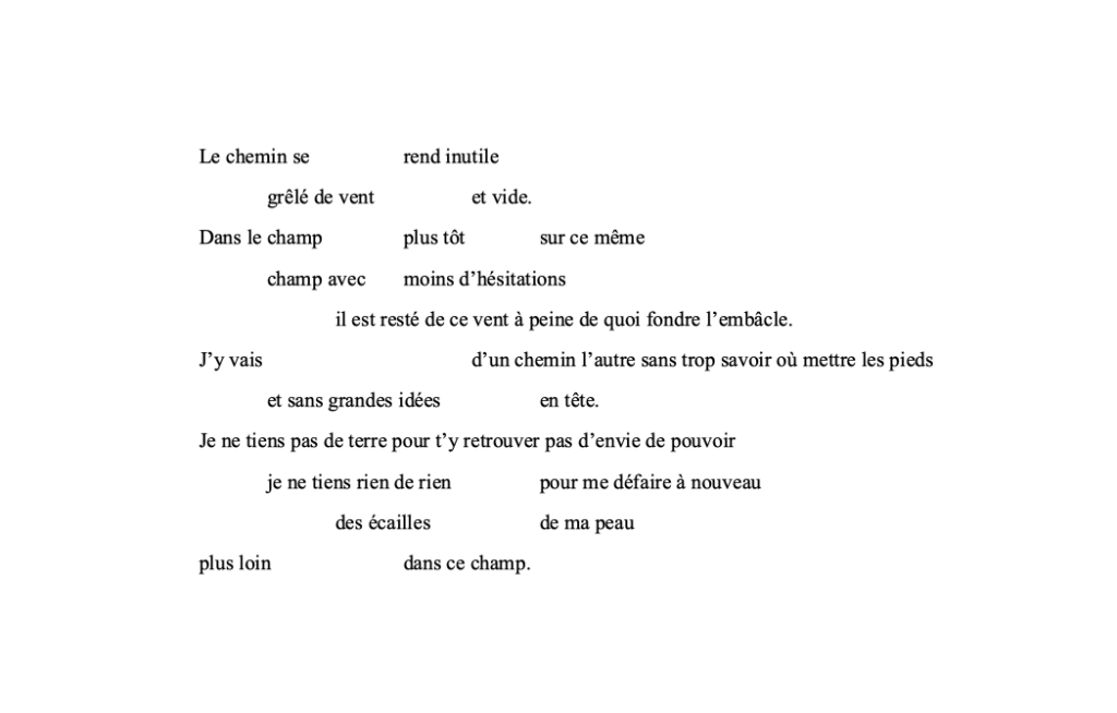 Le chemin se 		rend inutile
	grêlé de vent 		et vide. 
Dans le champ		plus tôt		sur ce même 
	champ avec 	moins d’hésitations
		il est resté de ce vent à peine de quoi fondre l’embâcle.
J’y vais 			d’un chemin l’autre sans trop savoir où mettre les pieds
	et sans grandes idées 		en tête.
Je ne tiens pas de terre pour t’y retrouver pas d’envie de pouvoir
	je ne tiens rien de rien		pour me défaire à nouveau
		des écailles		de ma peau
plus loin		dans ce champ.